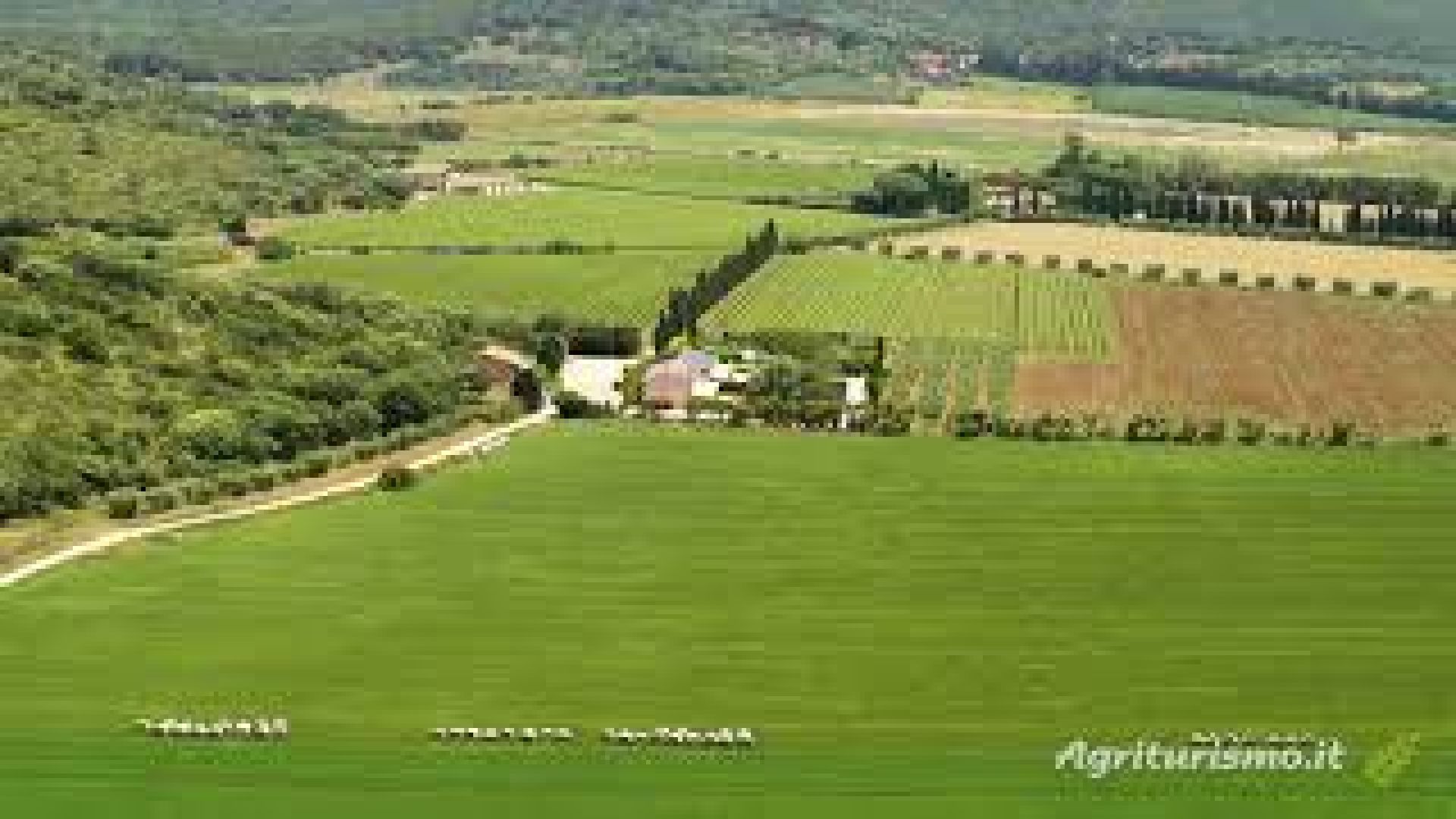 Fattoria Il Casalone